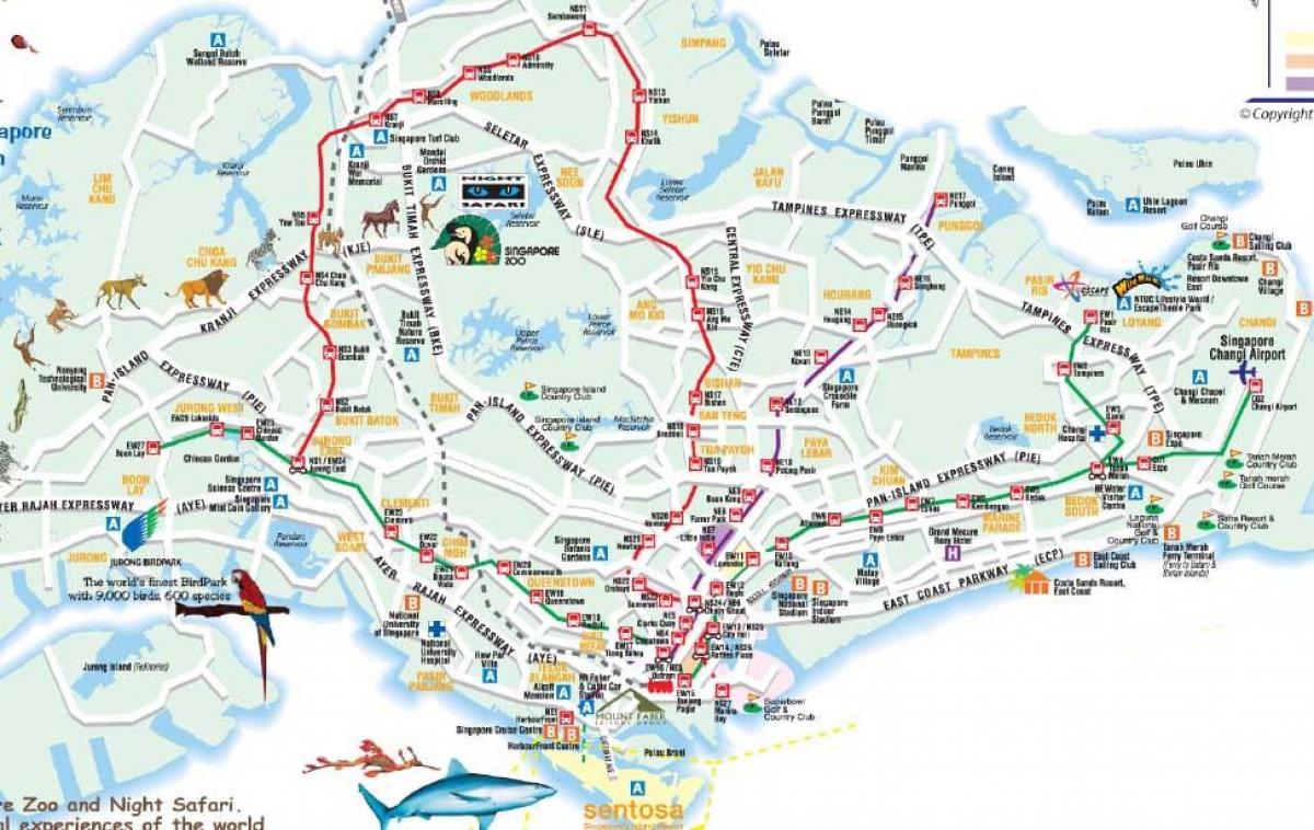 cestnú mapu Singapore